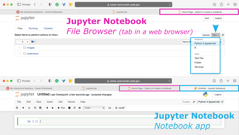 screenshot of Jupyter Notebook interface