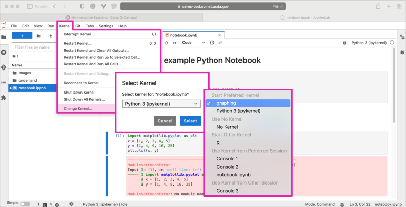 screenshot of changing Kernel in Python Notebook