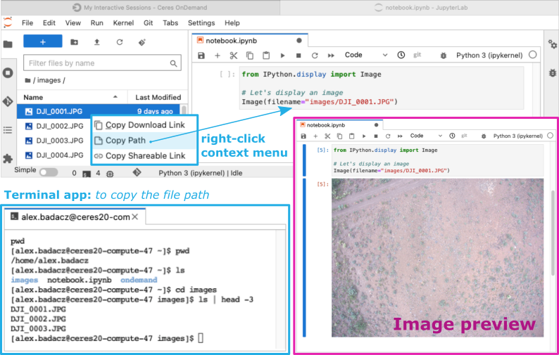 screenshot of image preview in Python notebook
