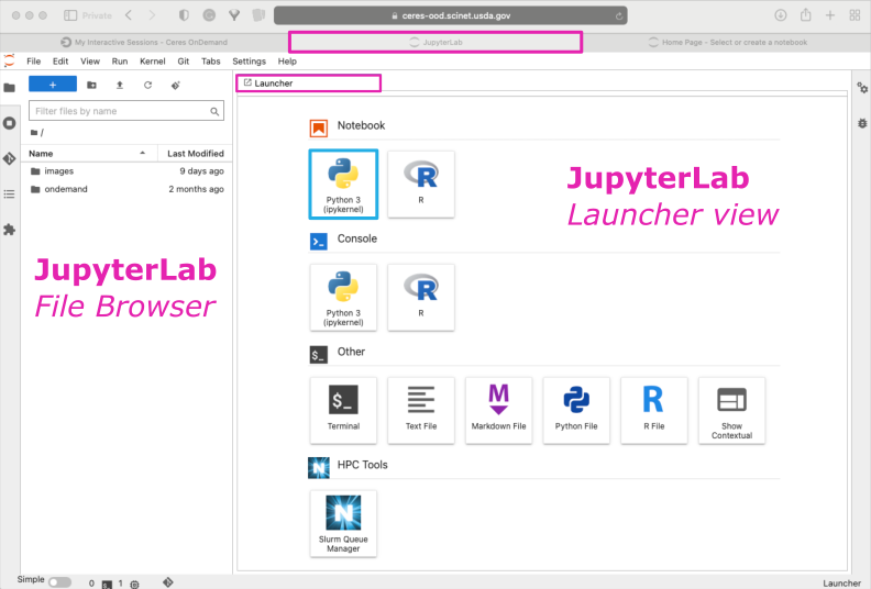 screenshot of Jupyter Lab interface