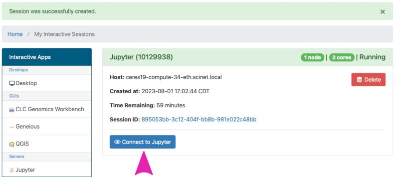 screenshot of launching the Jupyter interface