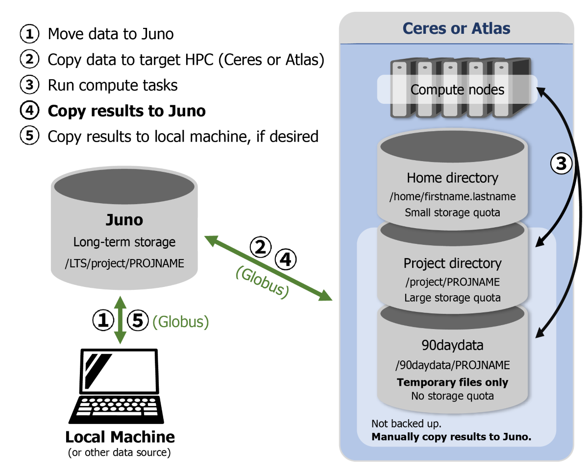 Schematic diagram of recommended data management workflow using Globus.