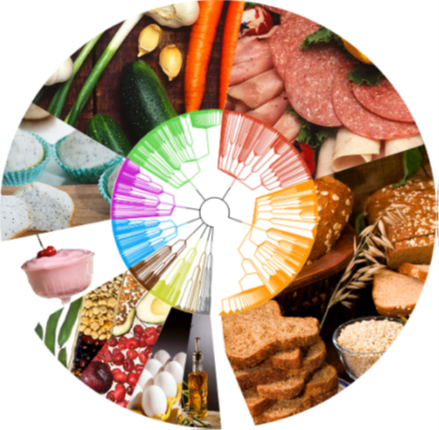 A visual depicting the taxonomic relationships of foods consumed in a USDA cohort.