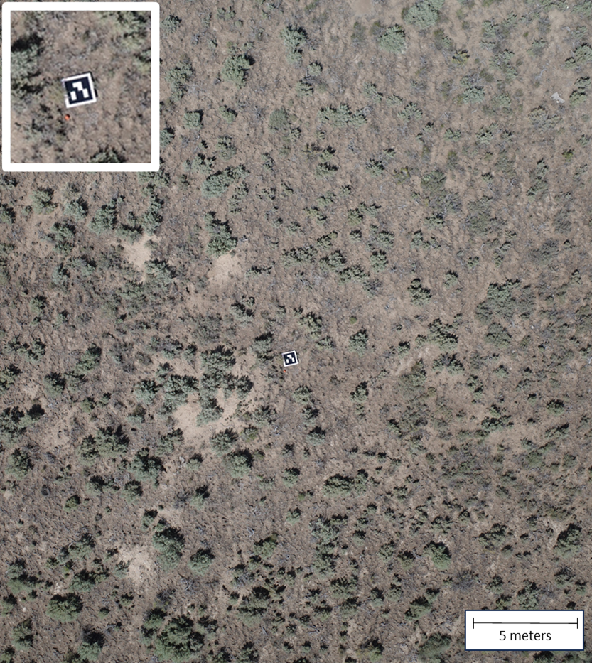A coded target for automatic ground control point identification is shown in a Wyoming Big Sagebrush-dominated study site in the Reynolds Creek Experimental Watershed.