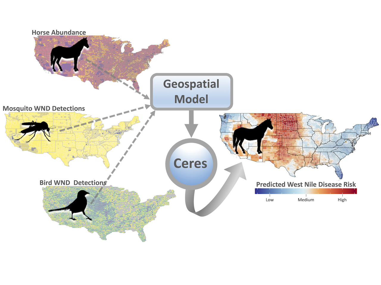 Visualization of spatial data being used in a model to predict West Nile Disease Risk using Ceres