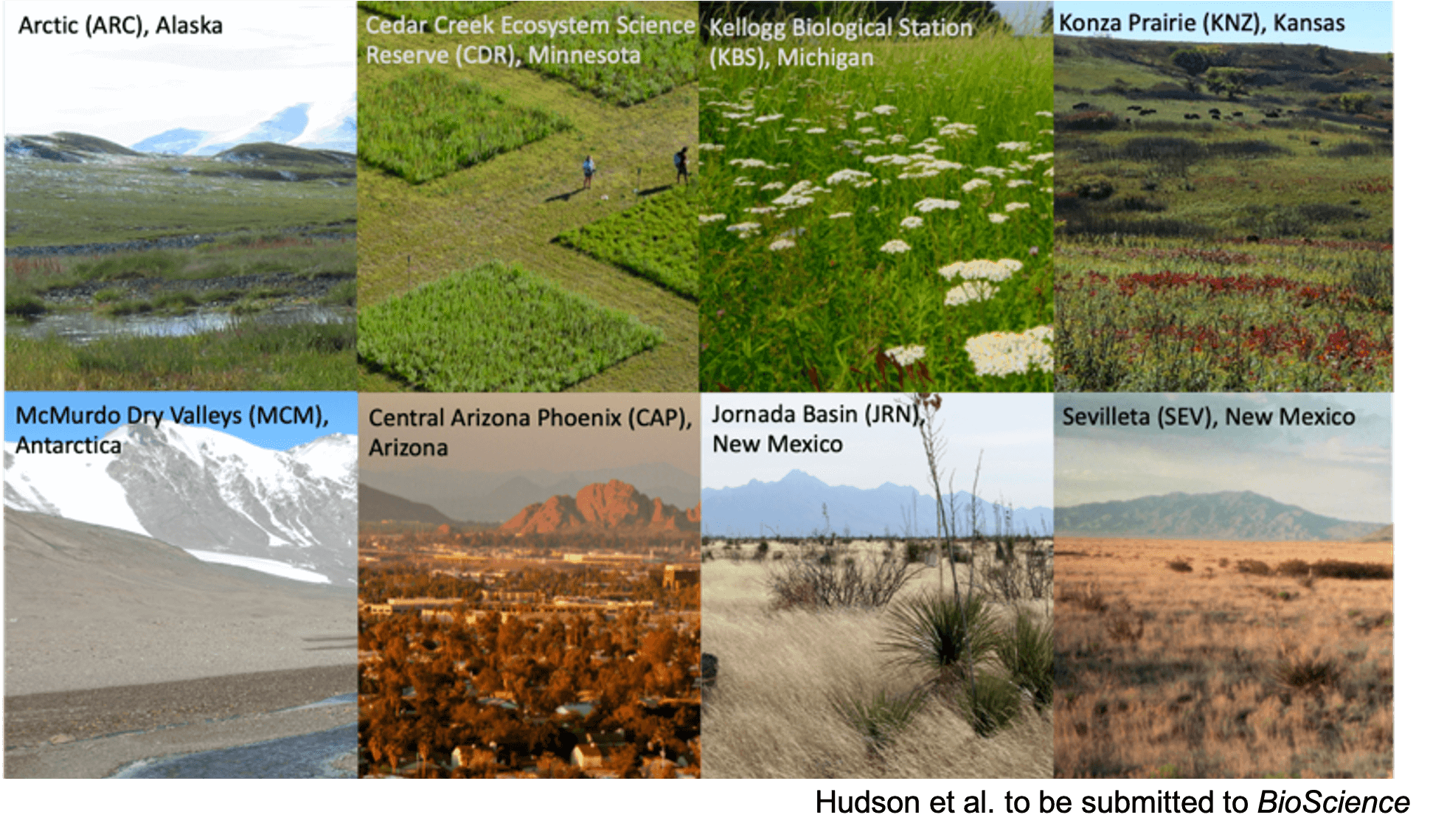 Photos of various ecosystems