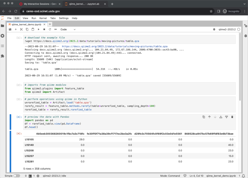 screenshot of importing qiime2 in python notebook