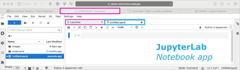 screenshot of Jupyter Lab interface