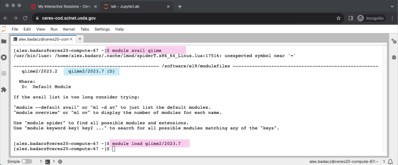 screenshot of loading qiime2 module in a termianl