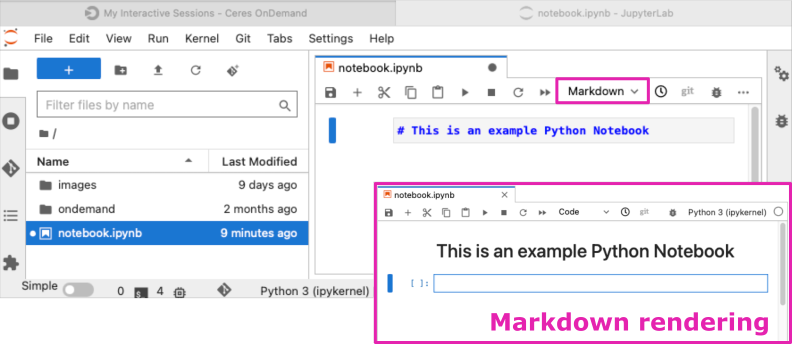 screenshot of rendering markdown cell