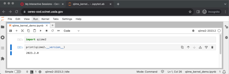 screenshot of importing qiime2 in python notebook