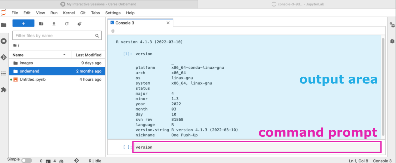 screenshot of Jupyter R console