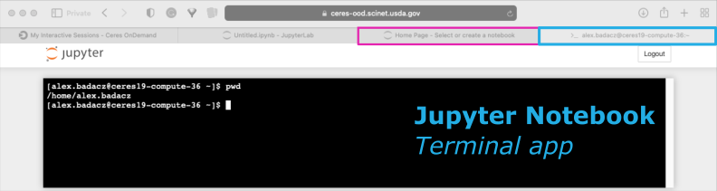 screenshot of Terminal app in Jupyter Notebook
