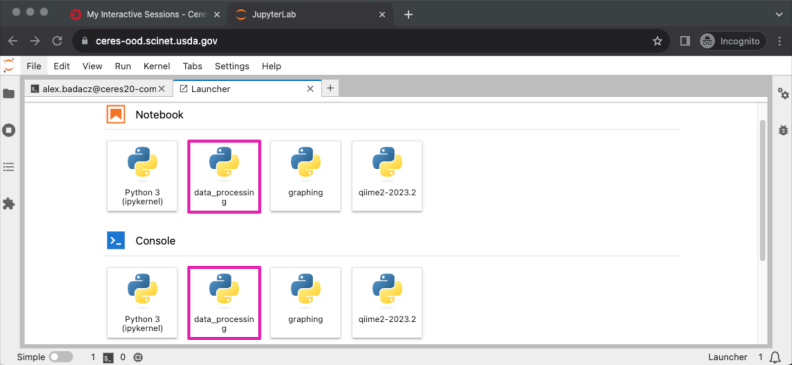 screenshot of changing Kernel in Python Notebook