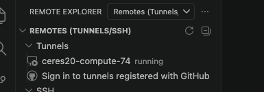 vs code remote explorer tunnel